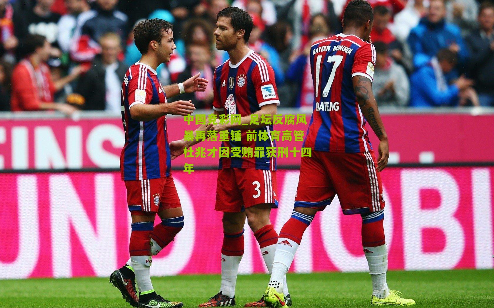 足坛反腐风暴再落重锤 前体育高管杜兆才因受贿罪获刑十四年