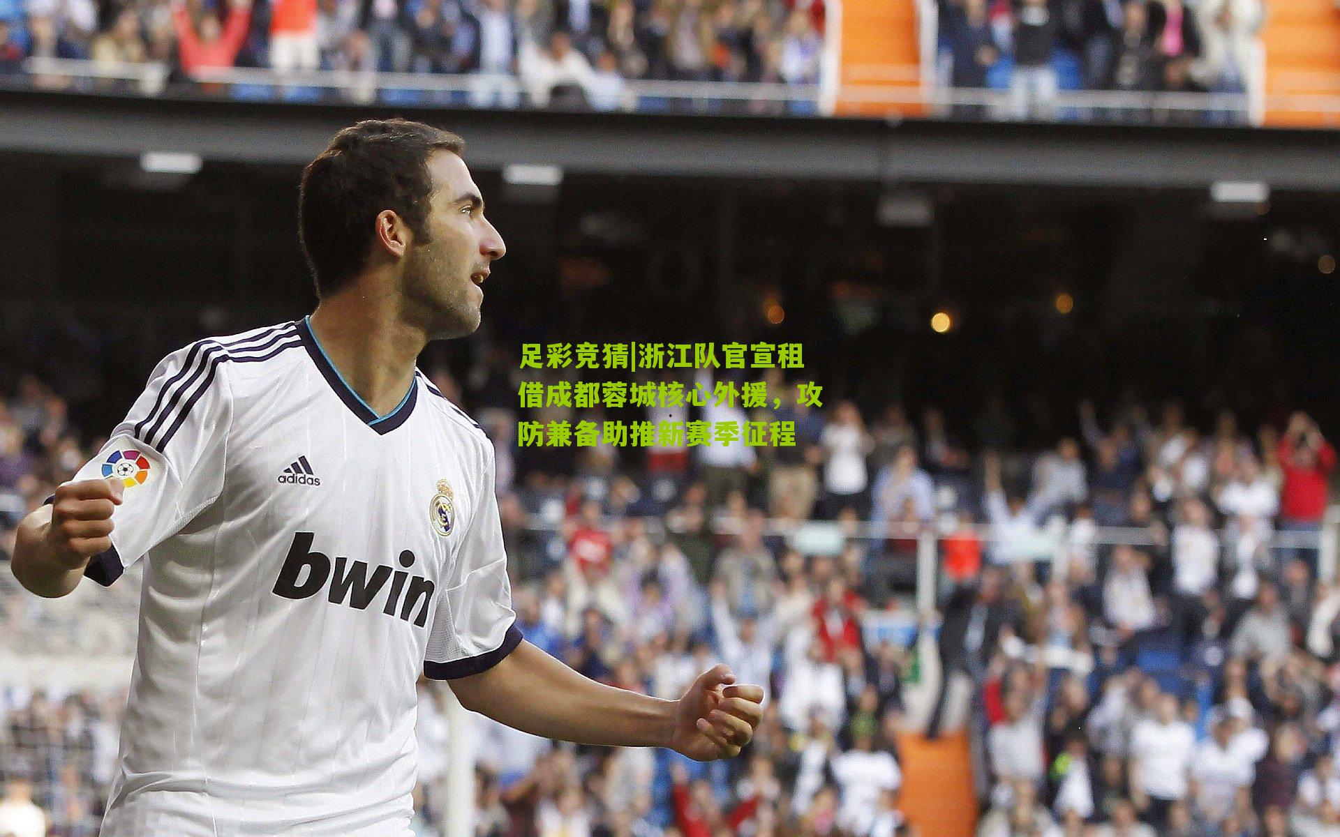 浙江队官宣租借成都蓉城核心外援，攻防兼备助推新赛季征程