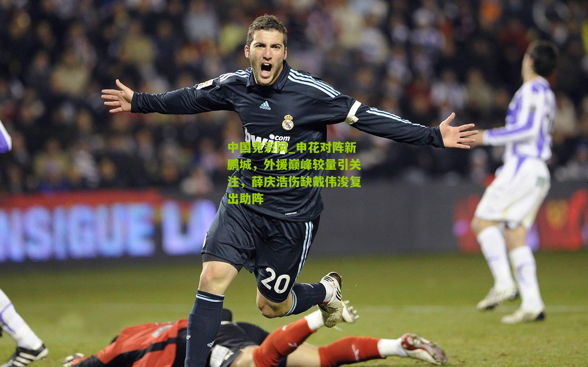 申花对阵新鹏城，外援巅峰较量引关注，薛庆浩伤缺戴伟浚复出助阵